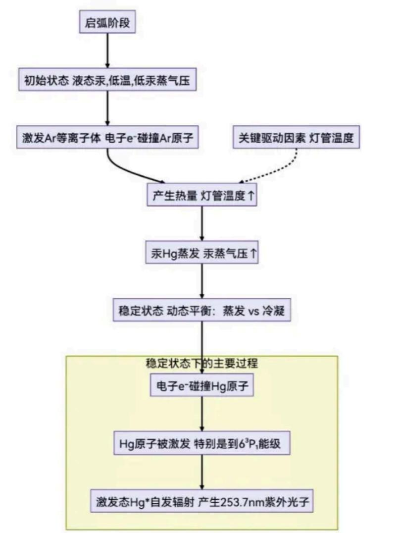 紫外线灯汞蒸气压与光子辐射特性01.png